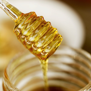 close-up of a honey dipper in a pot of honey