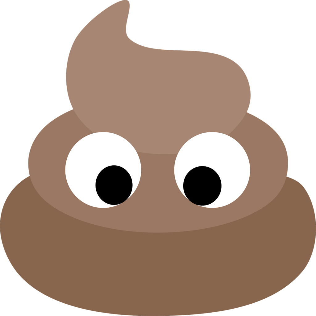 poop-pixabay