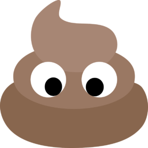poop-pixabay